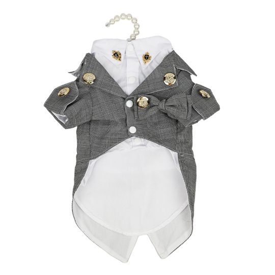 GOLDEN LION BUTTON VINTAGE PET SUIT